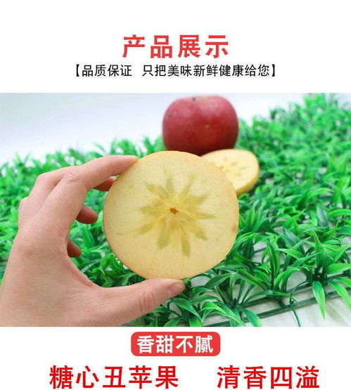 大涼山鹽源丑蘋果 自然孕育的冰糖心，脆甜多汁的應(yīng)季佳品